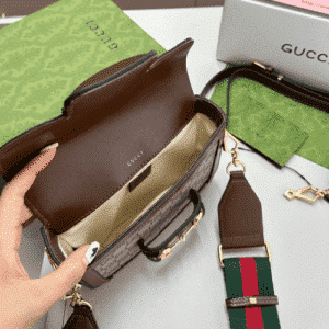 Brown Medium GG Reps Canvas Lady