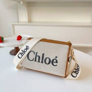 Chic Small Crossbody Bag