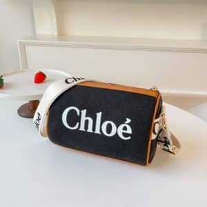 Chic Small Crossbody Bag