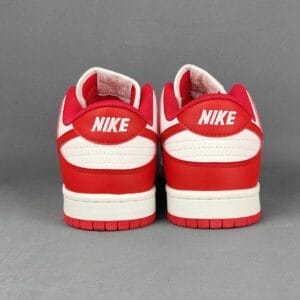 Nike Dunk Low Retro Panda