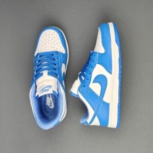 Nike Dunk Low Retro Panda