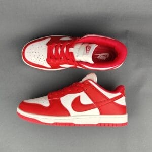 Nike Dunk Low Retro Panda