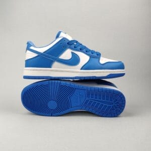 Nike Dunk Low Retro Panda