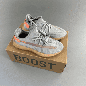 Adidas Yeezy boost 350 v2