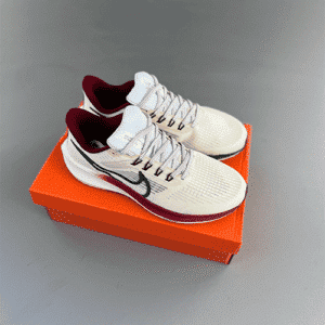 Nike Air Zoom Pegasus 39