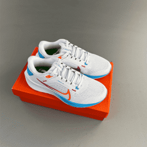 Nike Air Zoom Pegasus 40